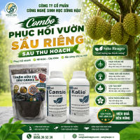 Bộ ba Soha Bioagro phục hồi sầu riêng sau thu hoạch hiệu quả Bộ ba Soha Bioagro phục hồi sầu riêng sau thu hoạch hiệu quả