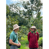 SOHA BIOAGRO khởi động mô hình sầu riêng tại Đắk Lắk SOHA BIOAGRO khởi động mô hình sầu riêng tại Đắk Lắk