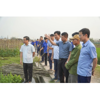 Thanh Hóa: Đẩy mạnh nông nghiệp hữu cơ và VietGAP bền vững