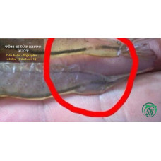 Tôm bị đứt khúc ruột là dấu hiệu gì? Nguyên nhân và cách xử lý Tôm bị đứt khúc ruột là dấu hiệu gì? Nguyên nhân và cách xử lý