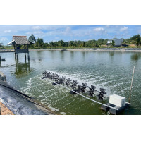 Tân Phú Đông thử nghiệm giải pháp sinh học nuôi tôm